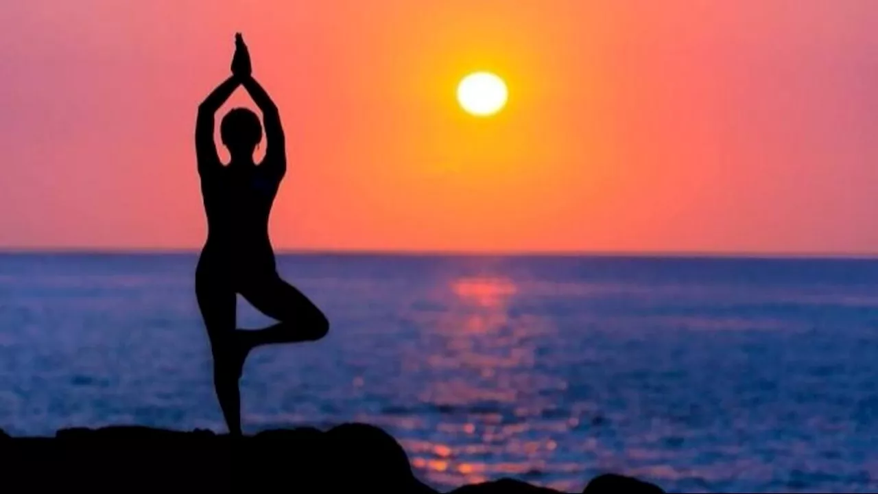 International Yoga Day 2024: वेट लॉस के लिए घर में करें ये योगासन, तेजी से गल जाएगी शरीर की चर्बी