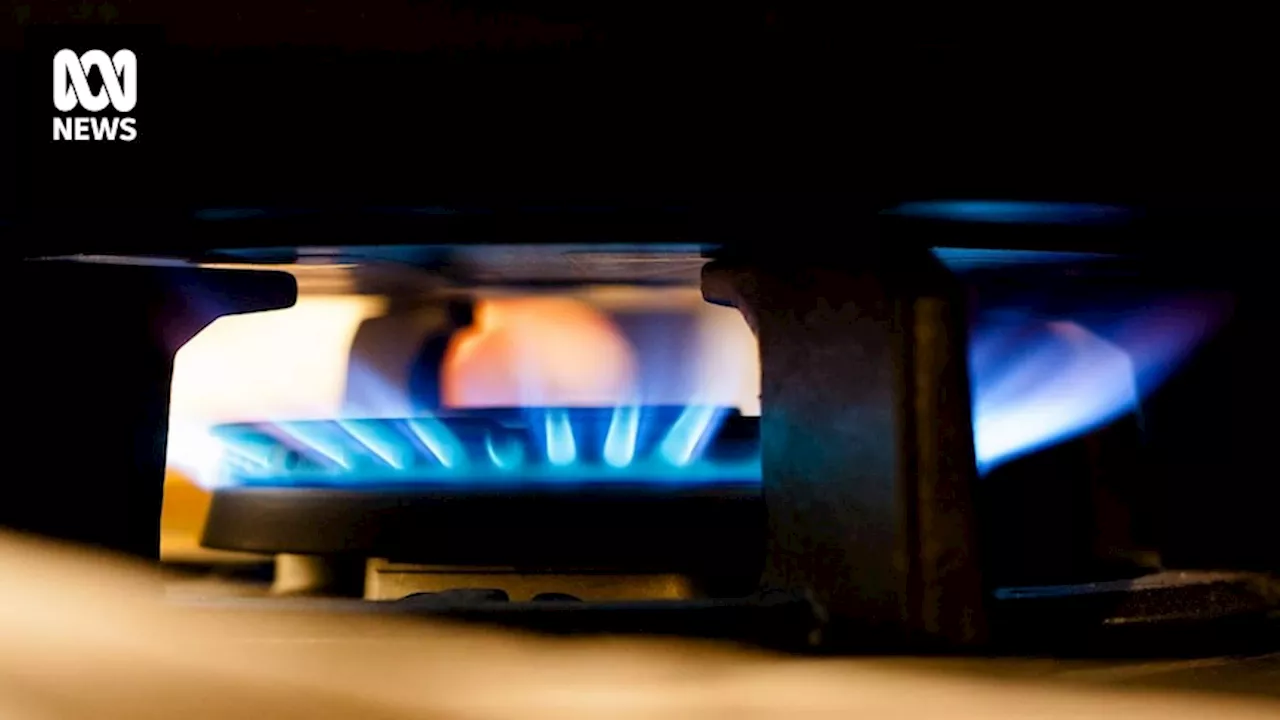 ACT government says Canberrans could be banned from buying new gas appliances as it transitions to electricity