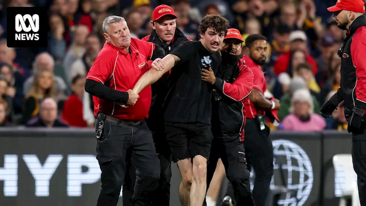 Adelaide Oval pitch invader Julian Saginario pleads guilty to interrupting AFL game in March