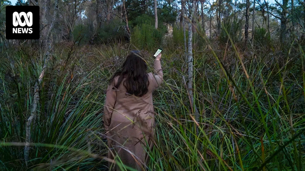 Tasmania's oldest geocache sought by worldwide seekers armed with digital maps, GPS coordinates