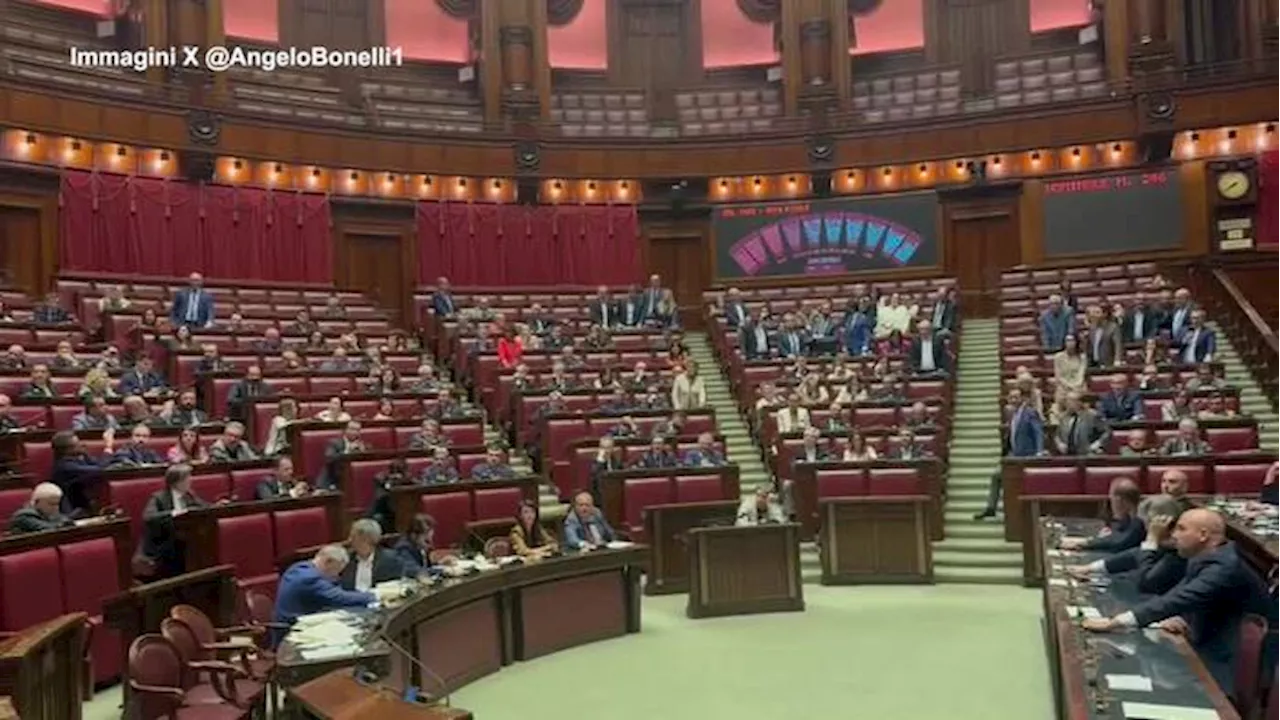 Autonomia, deputati della Lega festeggiano con bandiere padane in Aula