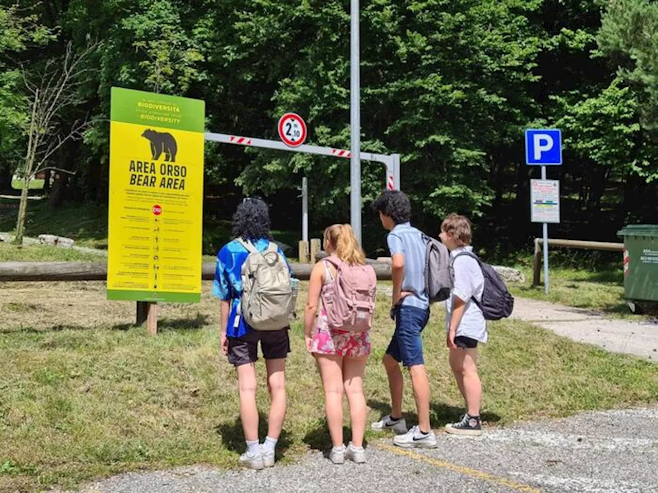 Cinquemila cartelli nelle zone frequentate dall'orso in Trentino