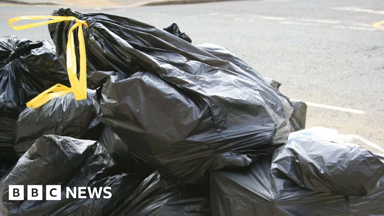 Redbridge: Bin collectors to strike over working conditions