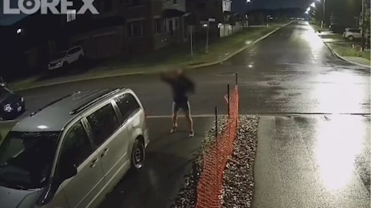 Video shows neighbours making anti-Asian remarks toward Barrhaven family