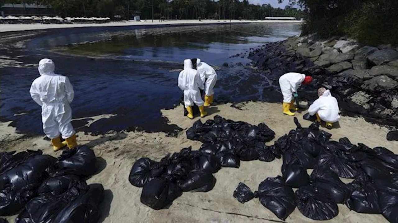 Potret Tak Biasa Pantai Singapura Hitam Legam, Ini Kronologi-Sebabnya