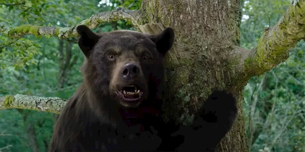 ‘Cocaine Bear’ Takes a Bite Out of Walmart Exclusive Steelbook