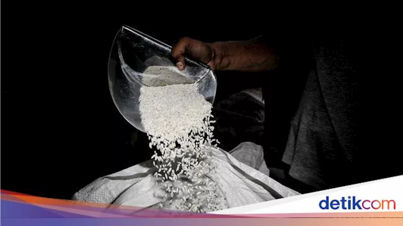 Impor Beras RI Meroket 165,27% di 2024, Ini Rinciannya