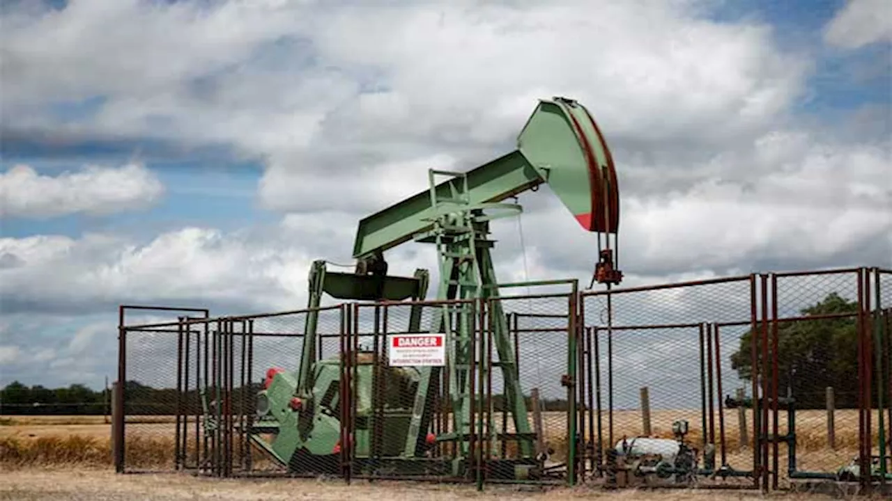 Oil steady amid war jitters, surprise build in US crude stocks