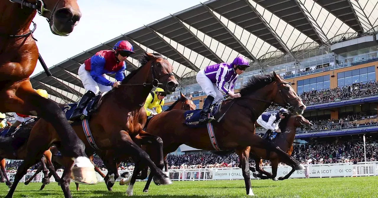 Royal Ascot 2024: Illinois win Queens Vase under Ryan Moore