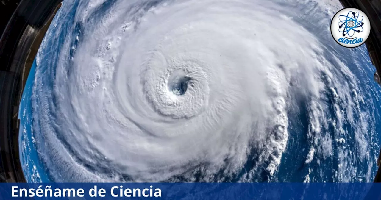 Tormenta Tropical Alberto: ¿Cuál es la diferencia entre ciclón tropical, tormenta tropical y huracán?