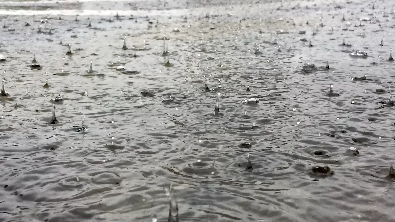 Portugal continental sob aviso amarelo devido à chuva e trovoadas