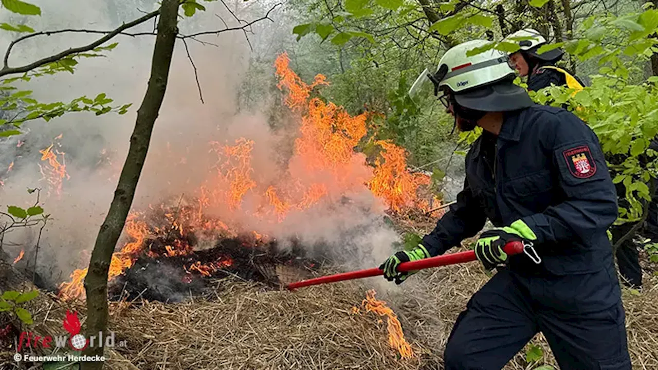 D: Waldbrandübung in Herdecke → erst Theorie, dann Praxis im Wald