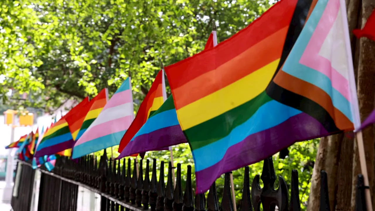 Pride flag will fly at Newcastle City Hall after the reversal of a vote initially against it