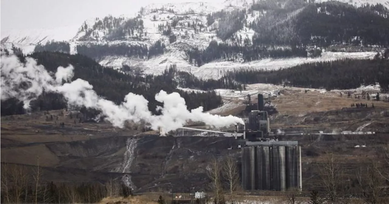 Study finds coal dust blown onto snowpack in Alberta, British Columbia