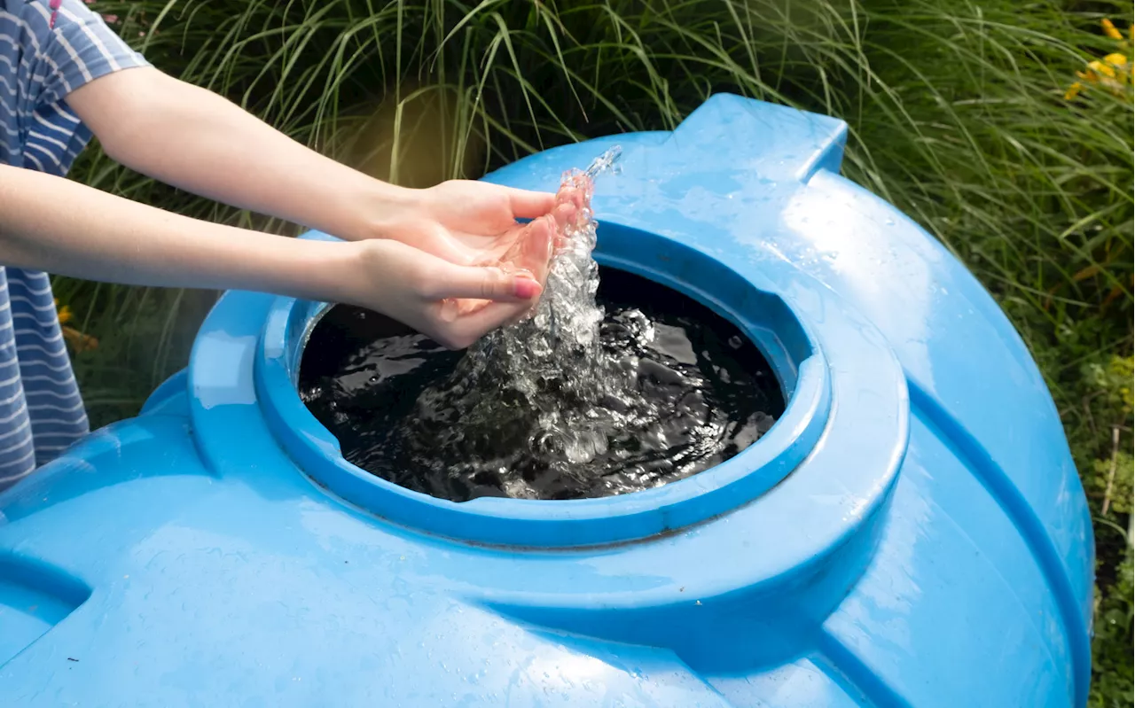 Putz-Trick von Oma: Diese 3 Dinge kannst du mit Regenwasser reinigen