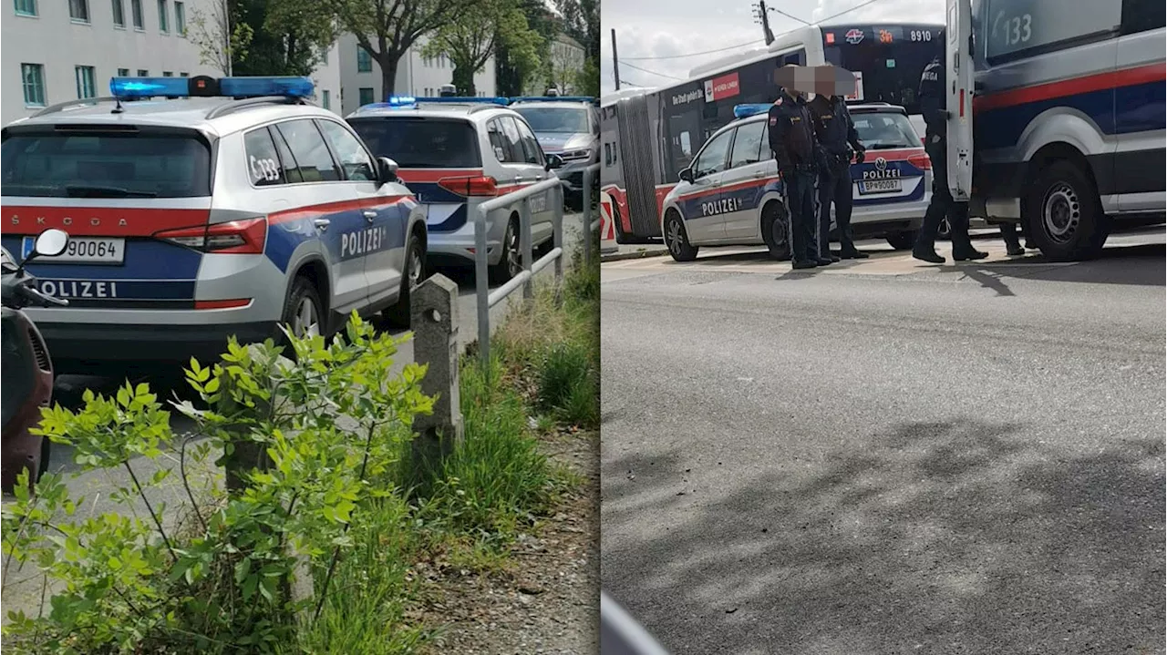 Wiener attackierte Nachbar mit Hammer in Floridsdorf