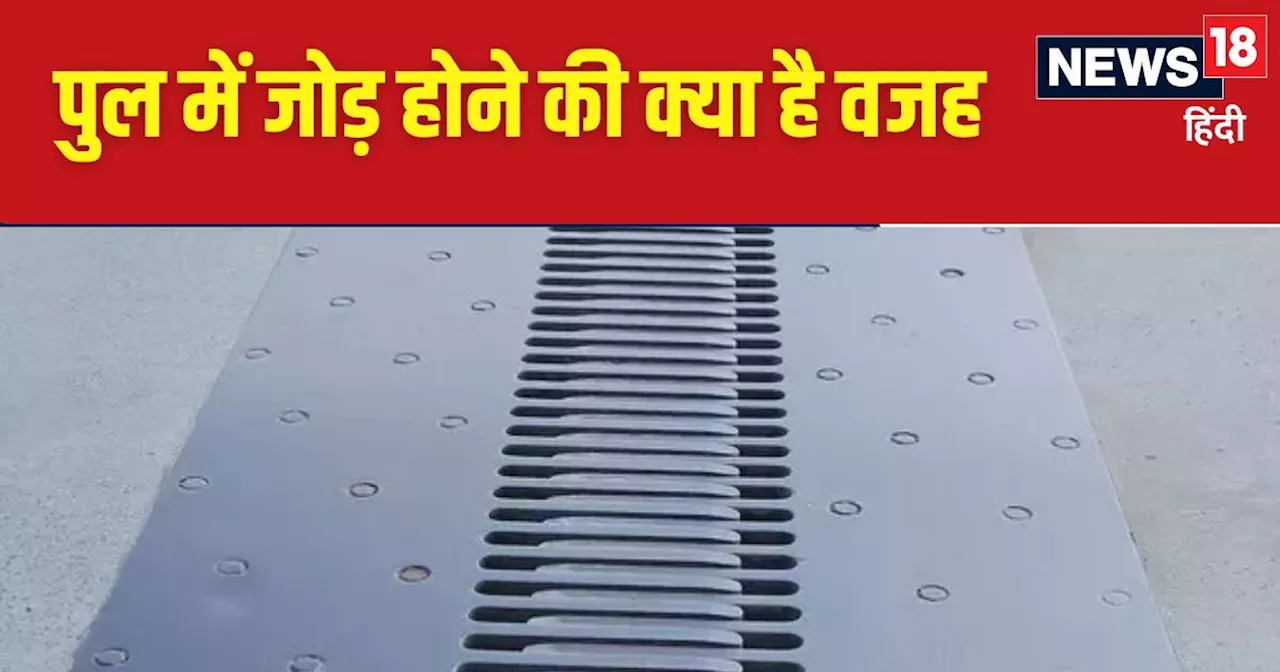 पुल के बीच में क्यों होता है गैप? आपने भी देखी होगी पट्टी! पीछे छिपा है साइंस