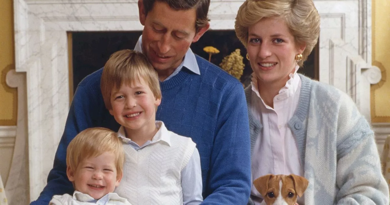 Princess Diana and King Charles shared brutal nickname for Prince Harry