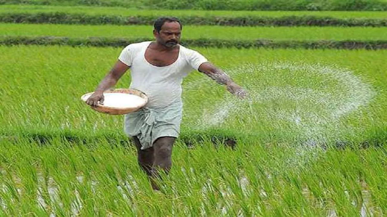 इटली में भारतीय मजदूर के साथ बर्बरता...खेत में काम करते वक्त कट गया हाथ; मदद के बजाय घर पर अधमरा फेंक हो गए फरार