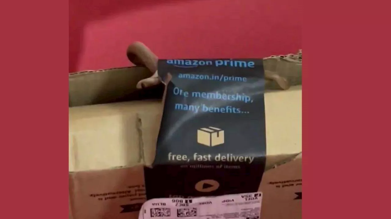 Amazon का पैकेट खोलते ही उड़ गए पति-पत्नी के होश, बॉक्स से निकला कोबरा सांप; फिर...