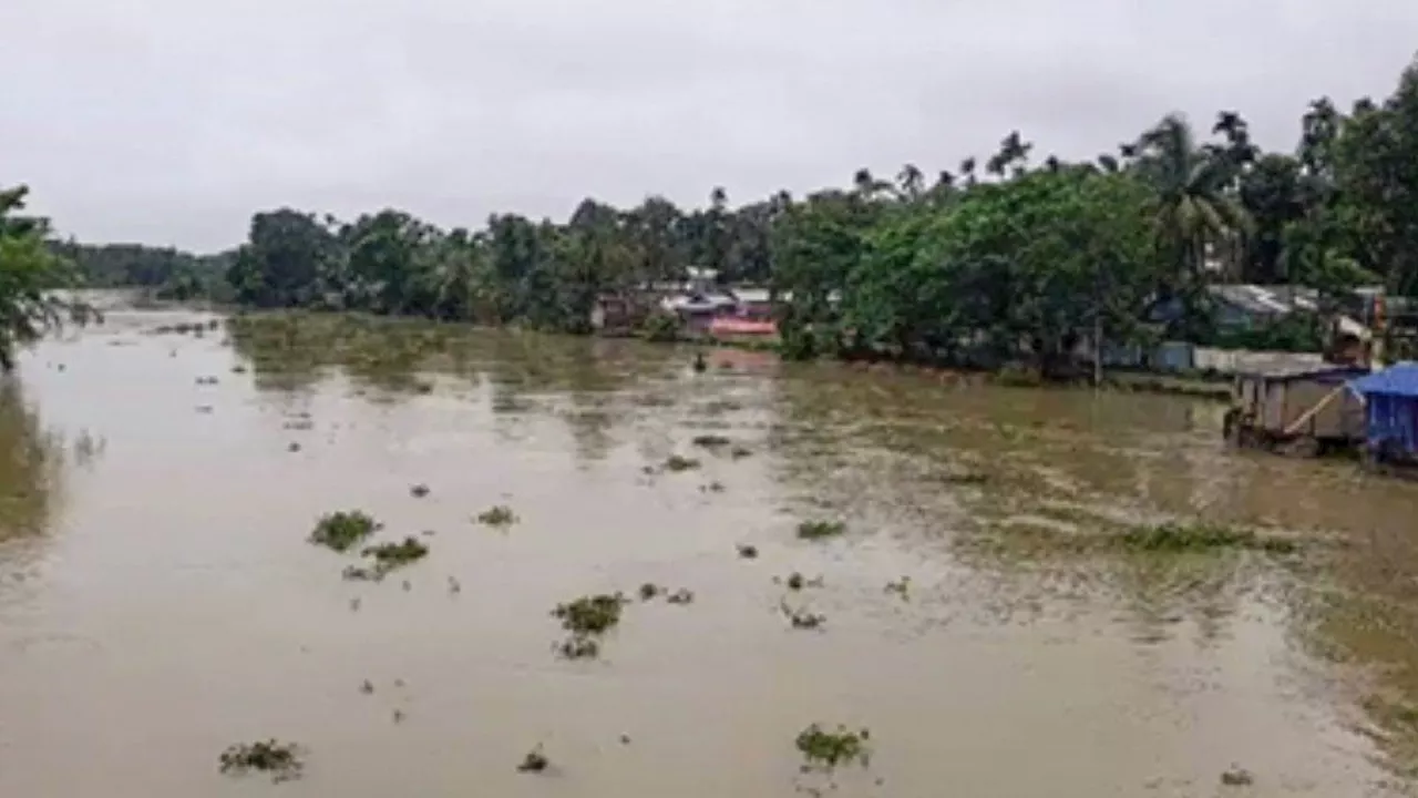 Assam Flood: असम में बाढ़ की वजह से हाहाकार, करीमगंज में भूस्खलन की वजह से पांच लोगों की मौत