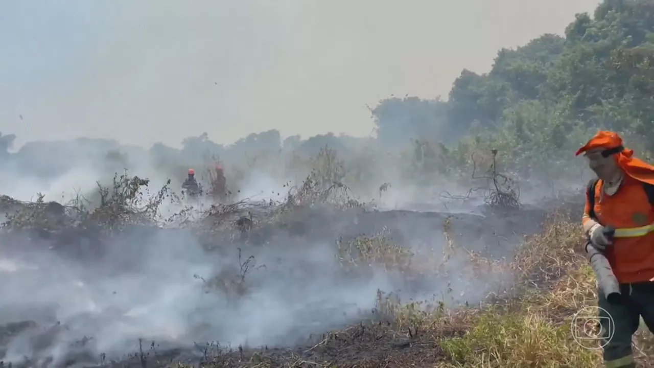 Estudo mostra que incêndios consumiram quase um quarto do território do Brasil em 40 anos