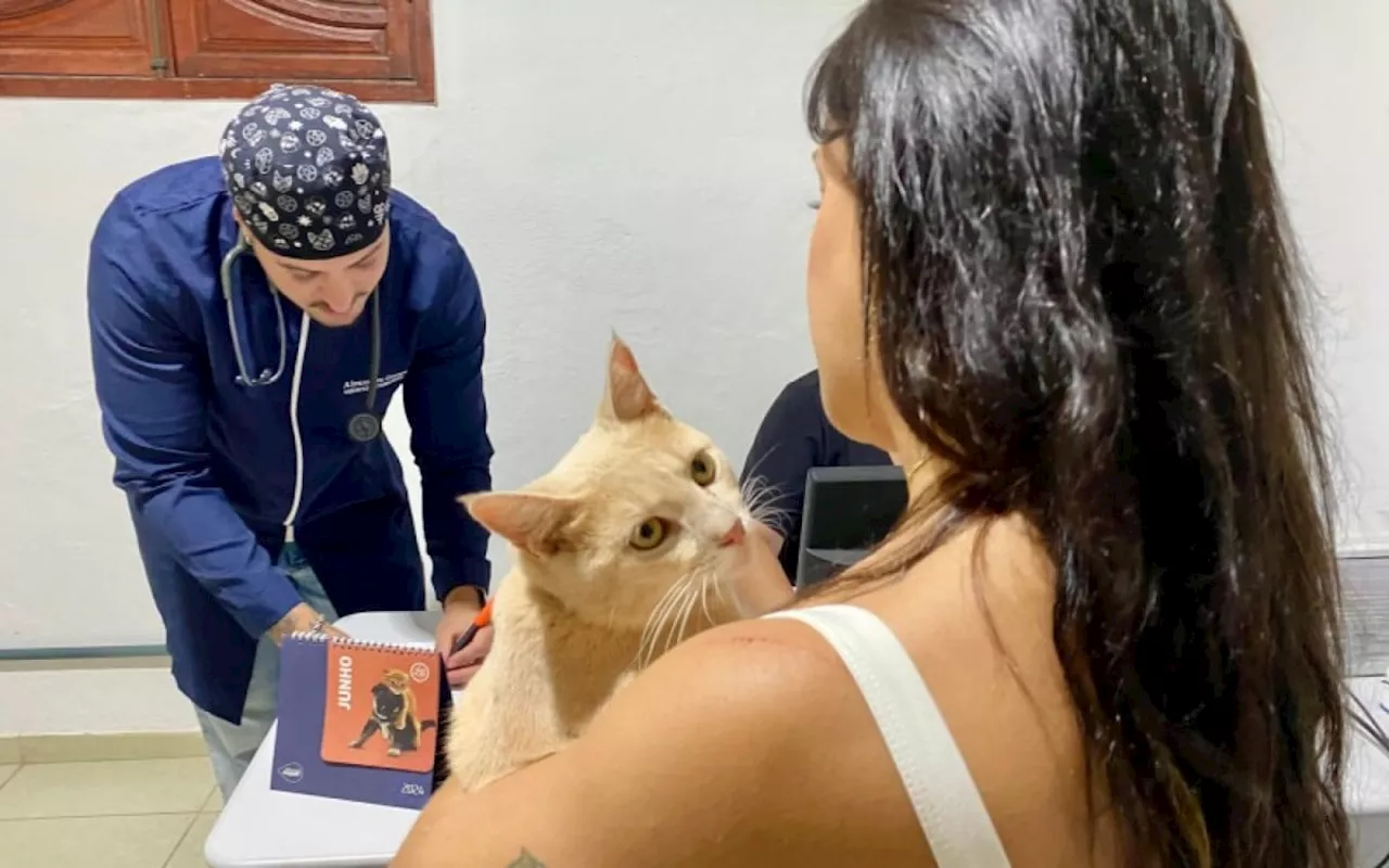 Centro de Controle Populacional de Cães e Gatos registra 240 castrações em nove meses