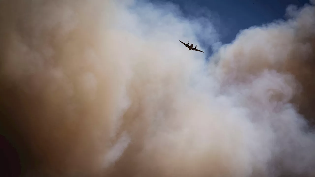 At least 1 dead as wind-driven wildfires force thousands to flee New Mexico village