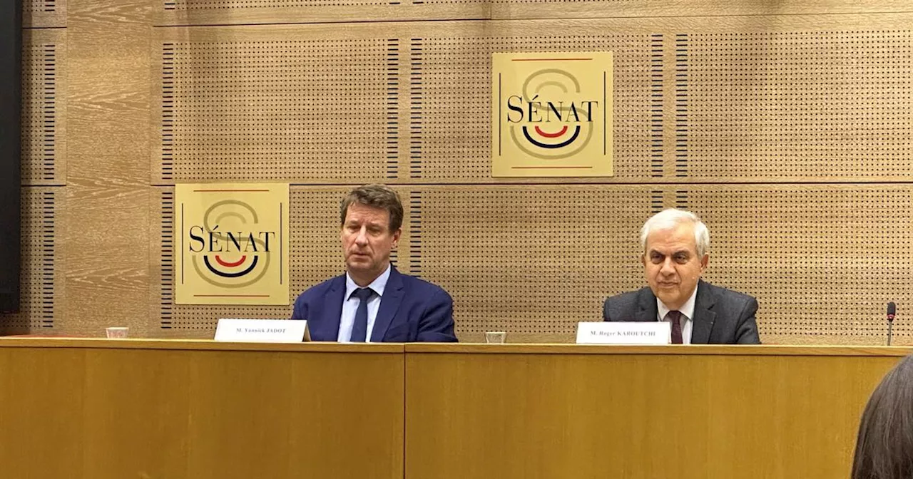 Pour le Sénat, TotalEnergies est « une entreprise à nouveau stratégique»