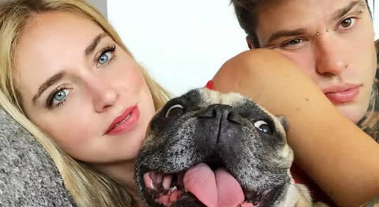 Fedez e Chiara Ferragni, cosa c'entrano i cani della coppia Matilda e Paloma con la separazione