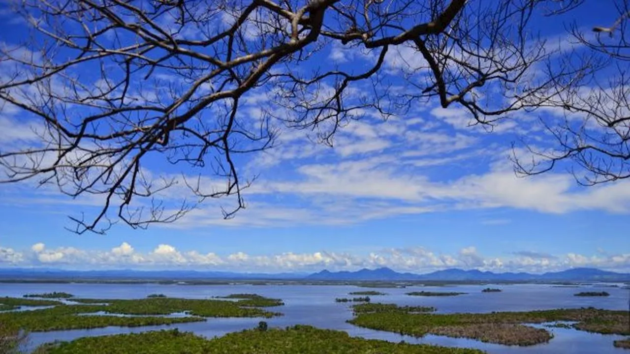 Mengenal Indahnya Danau Sentarum, Wisata Alam Memesona di Kalimantan