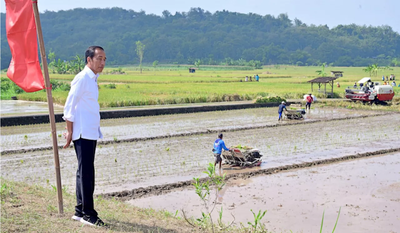 Jokowi Pompanisasi, Upaya Pemerintah Jaga Stok Pangan dan Tingkatkan Produktivitas Pertanian