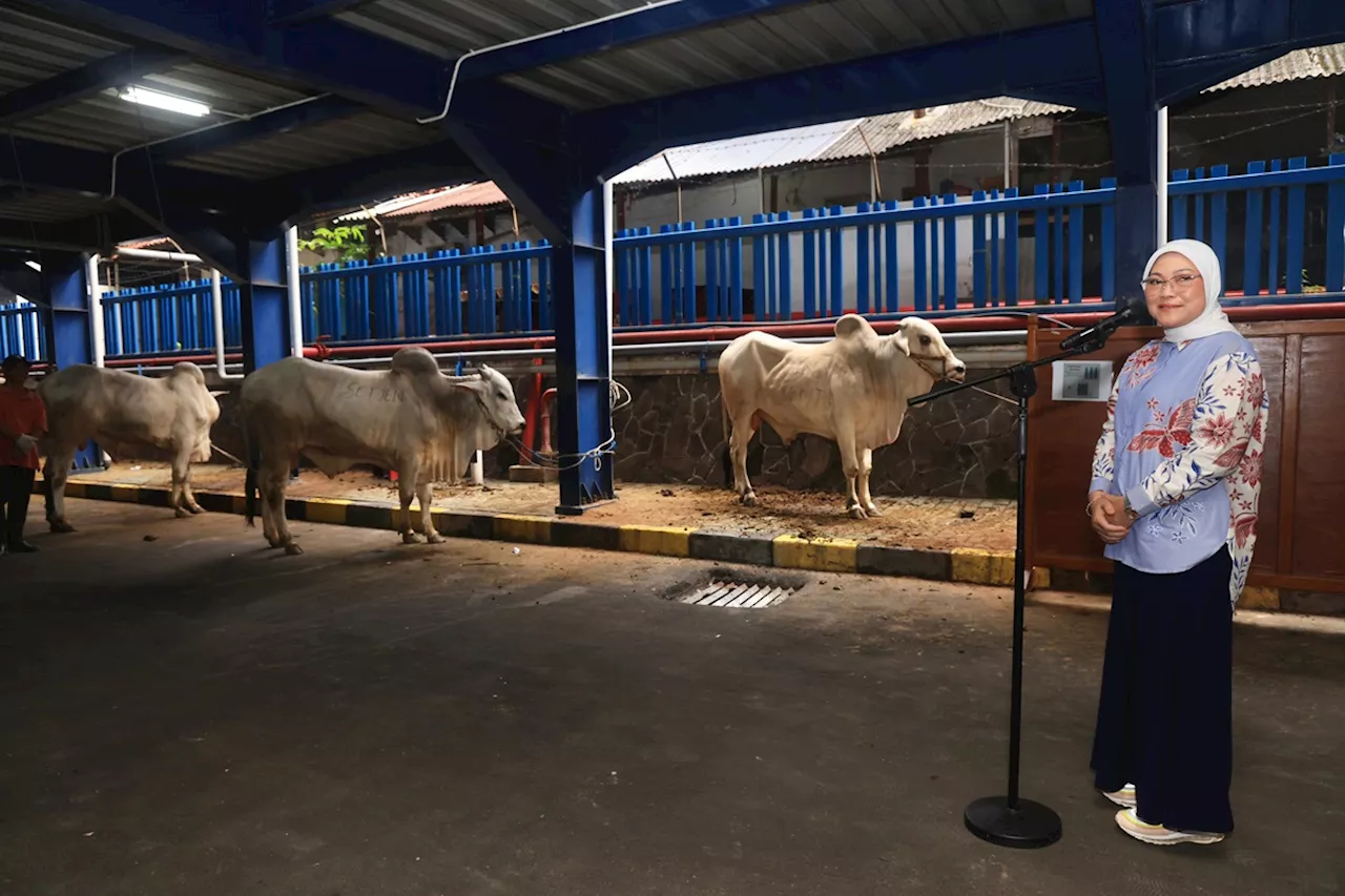 Menaker Ida Fauziyah Nilai Berkurban Sebagai Simbol Solidaritas Nilai-Nilai Sosial