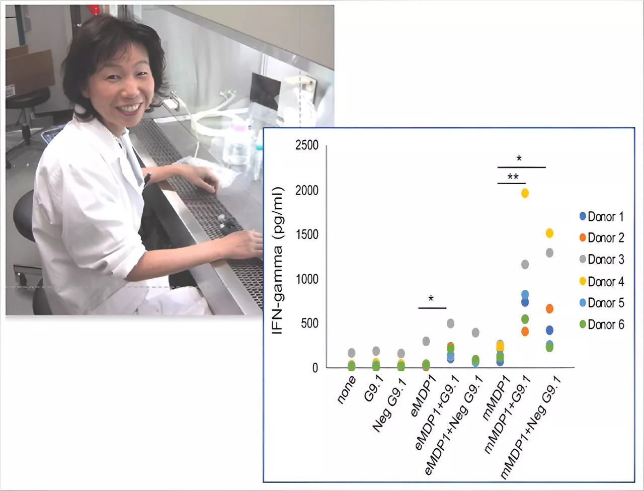 New tuberculosis vaccine candidate shows promise with post-translational modifications