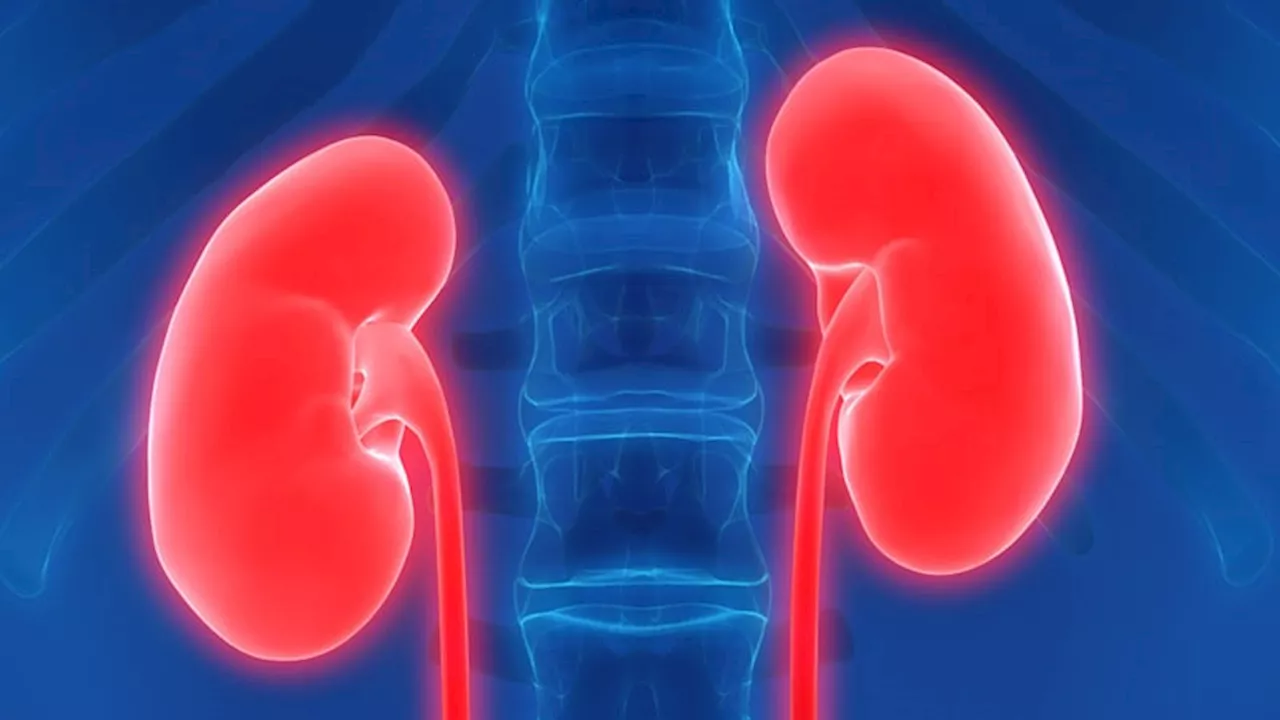 Chronic Kidney Disease Poses Challenges in Latin America