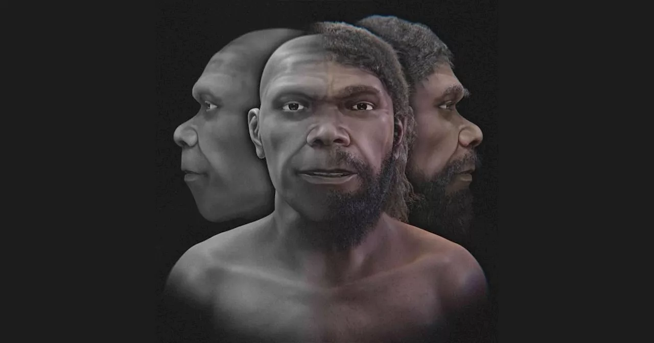 Face of the oldest human being revealed after 300,000 years