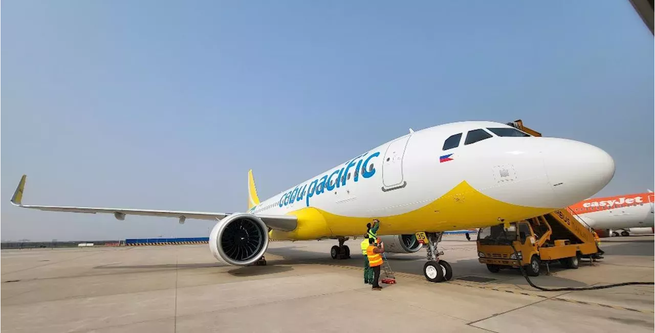 Cebu Pacific to launch San Vicente flights in October | Philippines ...