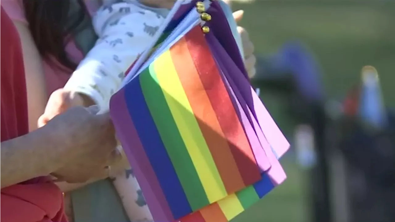 Pride flag raised at Newcastle City Hall after City Council reverses decision