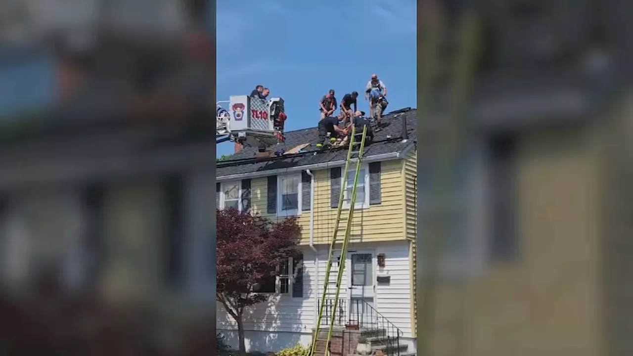 Worker overcome by heat exhaustion while working on roof of Roslindale home