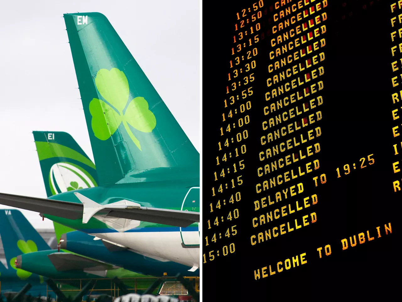 Aer Lingus industrial action: What is happening and what are my rights?