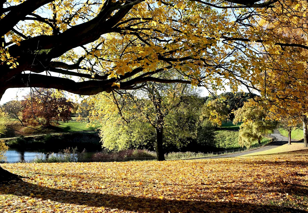 Three gay men 'hunted' by gang with knives in Phoenix Park