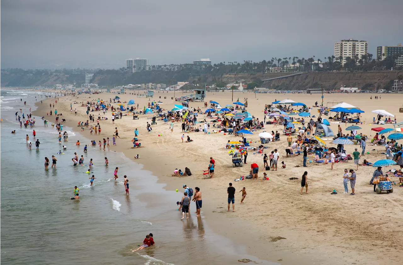 California Beachgoers Warned Over Water Quality, Bacterial Levels