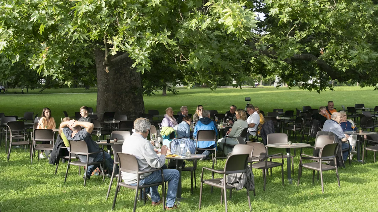 Schlosspark Lounge in Bad Vöslau