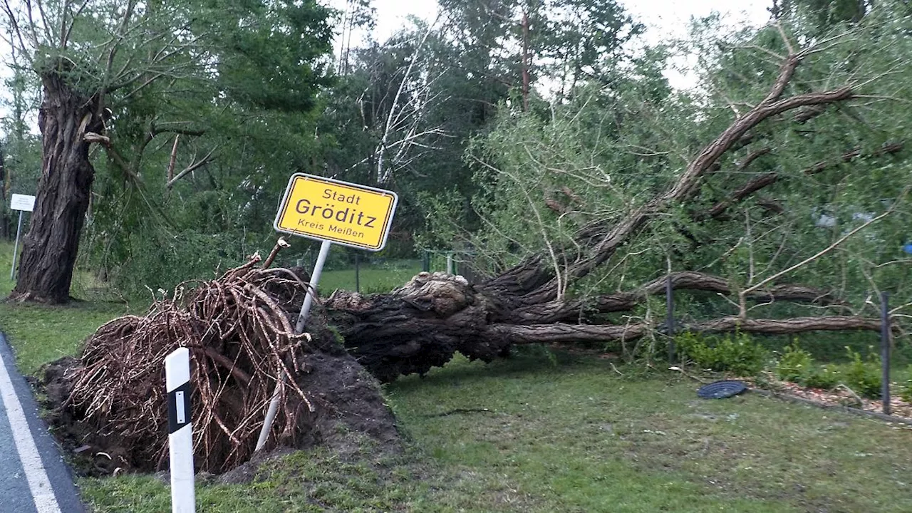 Meteorologen prüfen noch: Drohne entdeckt Schneise - zog ein Tornado über Gröditz?