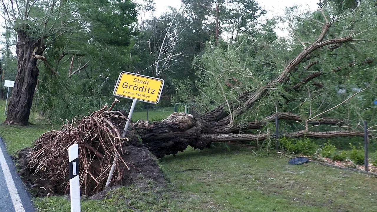 Sachsen: Schäden durch Unwetter: Möglicherweise Tornado in Gröditz