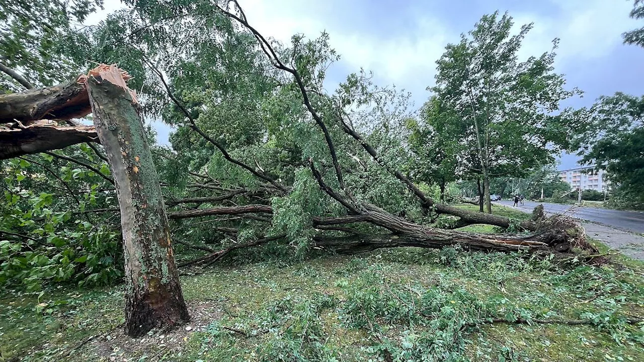 Sachsen: Schäden durch Unwetter: Wohl kein Tornado in Gröditz