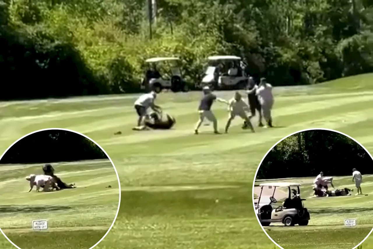 Insane six-man golf brawl breaks out during Father's Day round