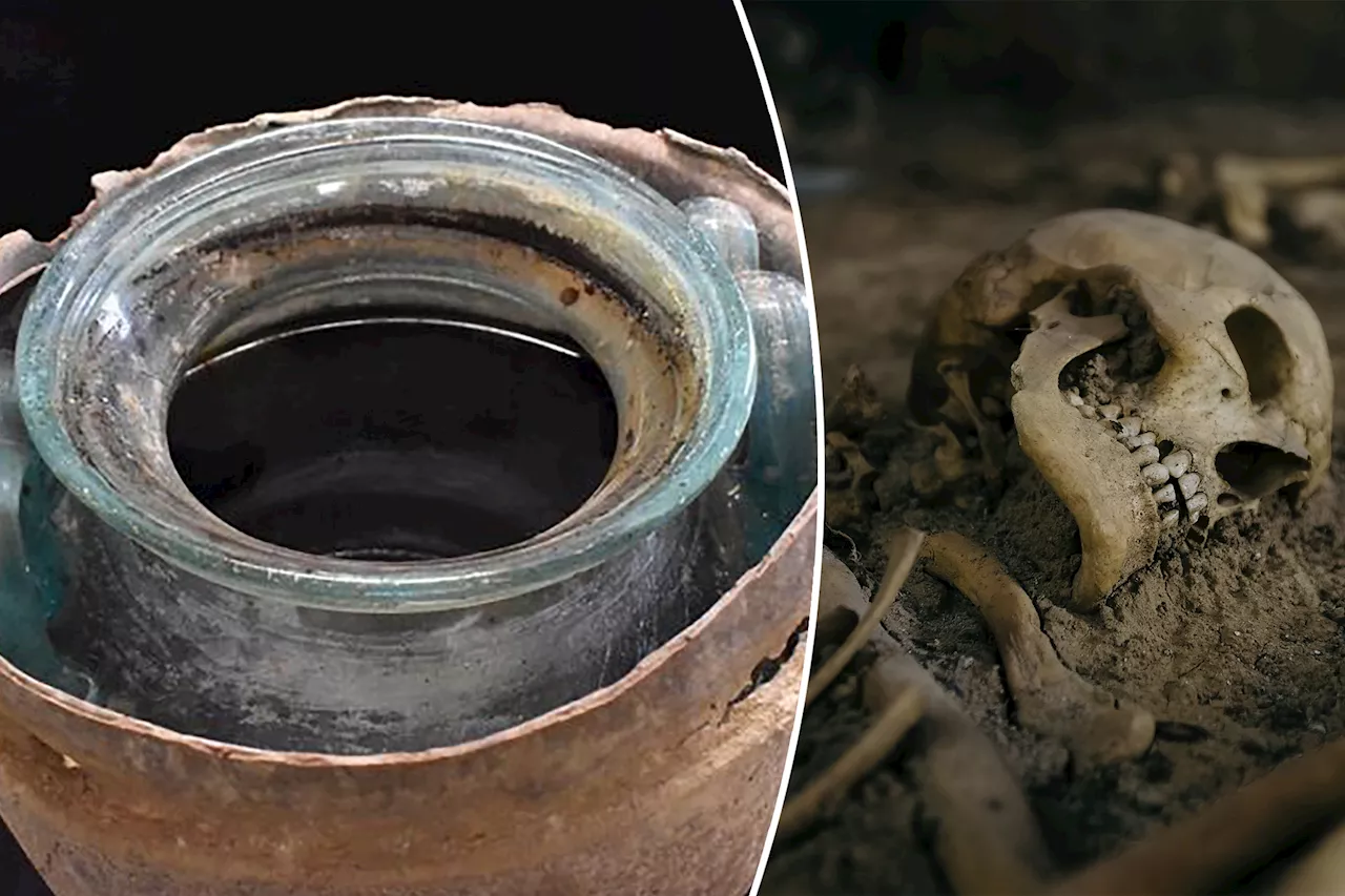 Oldest wine ever discovered contains a horrifying secret ingredient: study