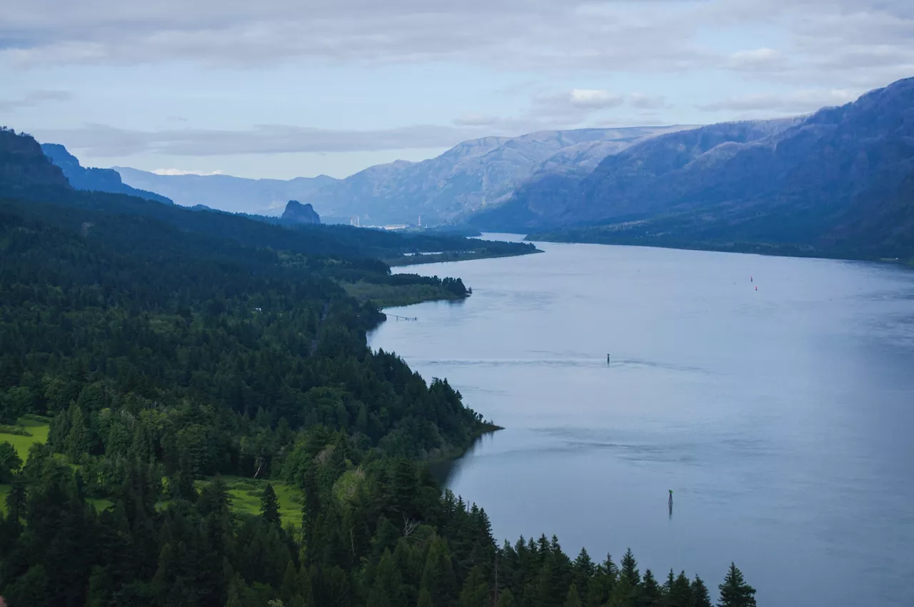 Biden administration acknowledges harms of Columbia River dams on Indigenous people