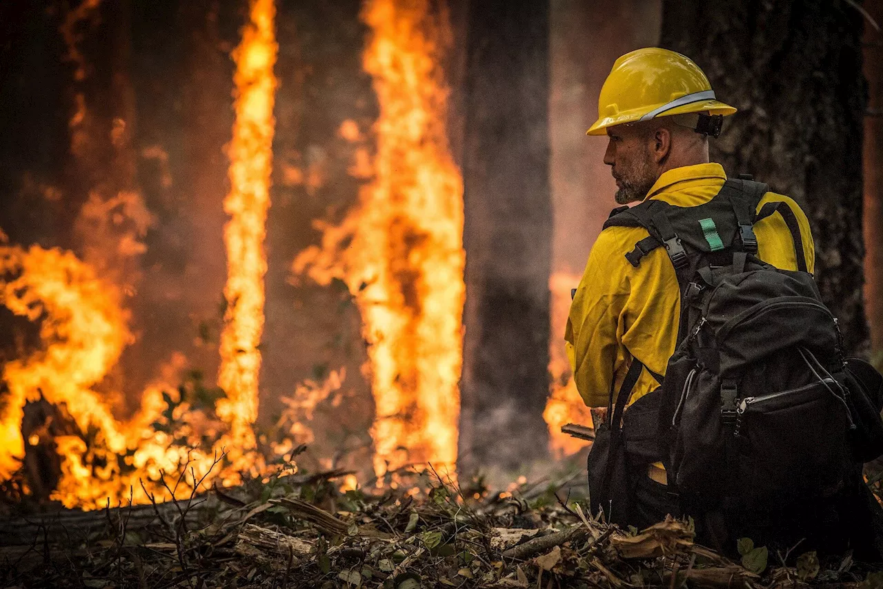 'Critical fire conditions' continue to hamper firefighting as blazes across California grow